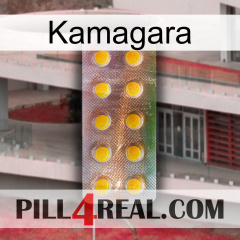 Kamagara new11
